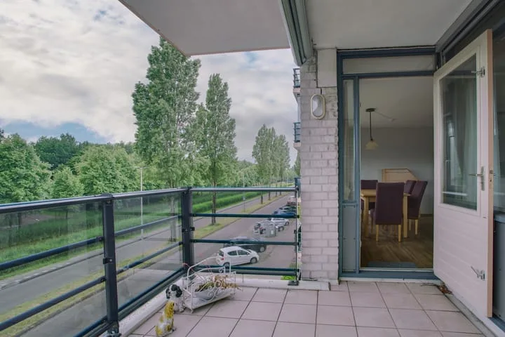 Mosgroen 291 Zoetermeer thumbnail 33