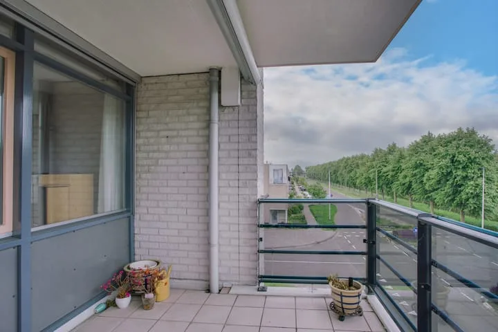 Mosgroen 291 Zoetermeer thumbnail 34