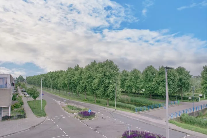 Mosgroen 291 Zoetermeer thumbnail 35