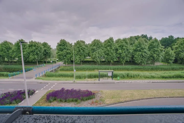 Mosgroen 291 Zoetermeer thumbnail 36