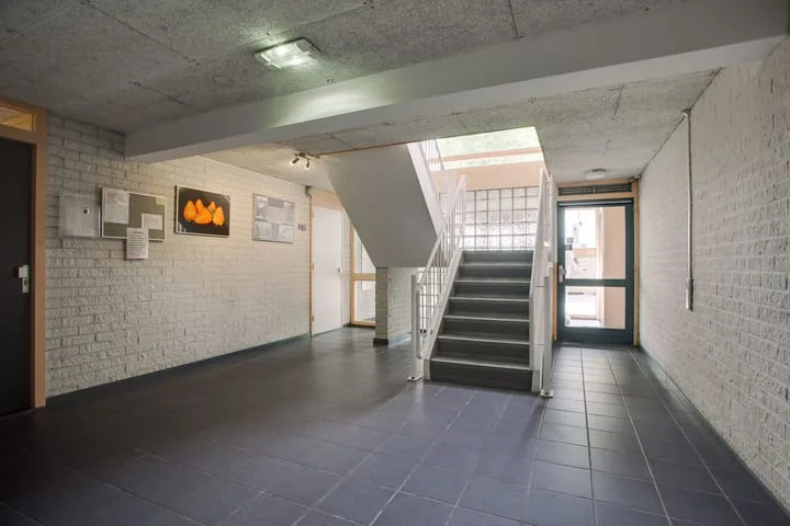 Mosgroen 291 Zoetermeer thumbnail 8