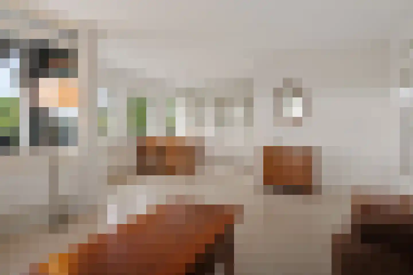 Mosgroen 299 Zoetermeer thumbnail 15