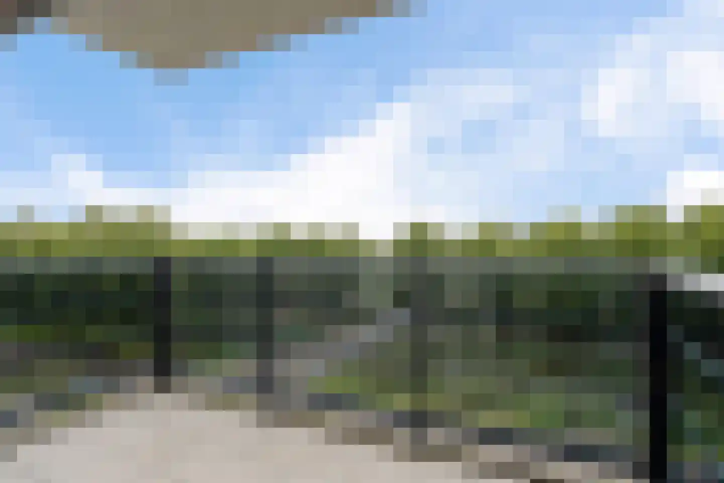 Mosgroen 299 Zoetermeer thumbnail 25