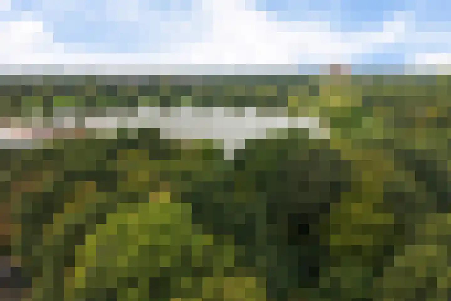Mosgroen 299 Zoetermeer thumbnail 48
