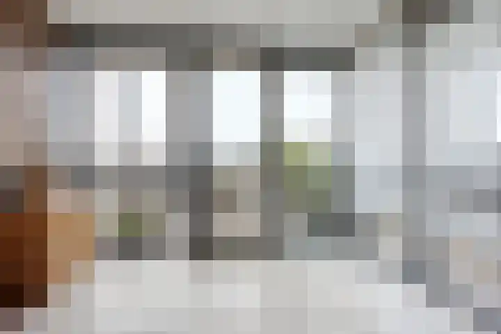 Mosgroen 309 Zoetermeer thumbnail 13
