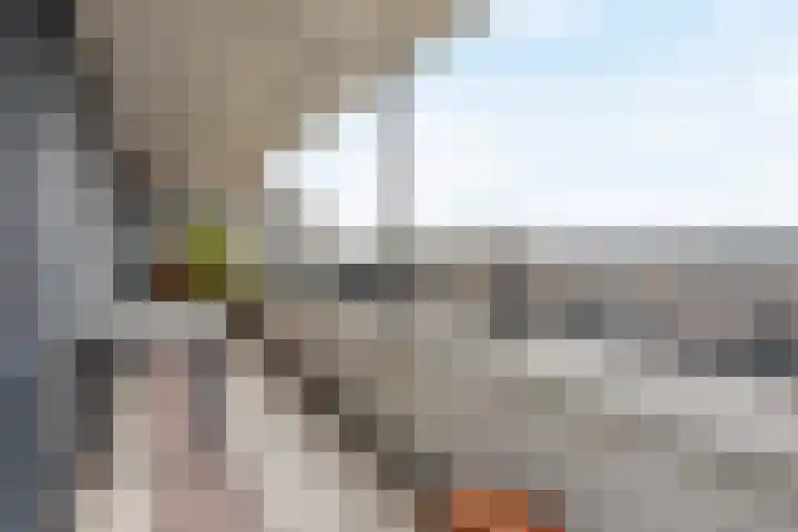 Mosgroen 309 Zoetermeer thumbnail 15