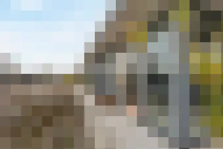 Mosgroen 309 Zoetermeer thumbnail 16
