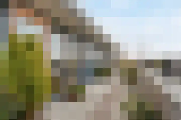 Mosgroen 309 Zoetermeer thumbnail 18