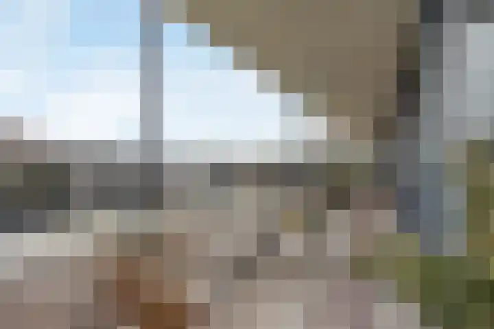 Mosgroen 309 Zoetermeer thumbnail 19