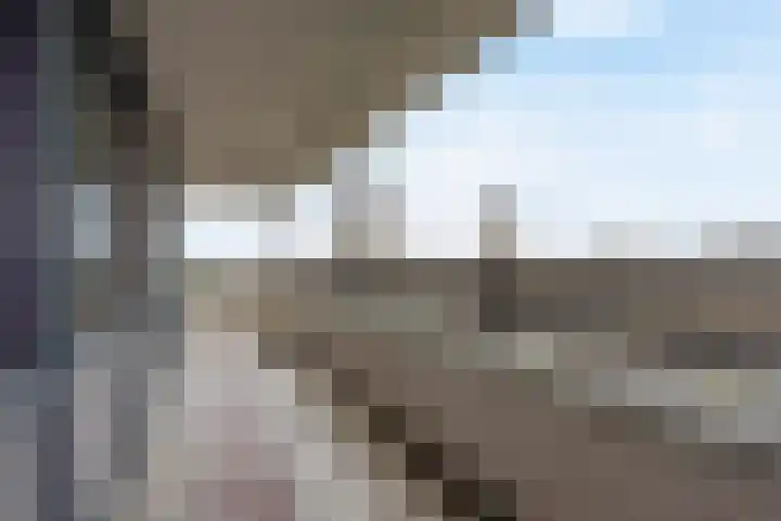 Mosgroen 309 Zoetermeer thumbnail 20