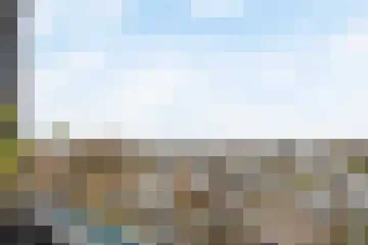 Mosgroen 309 Zoetermeer thumbnail 23