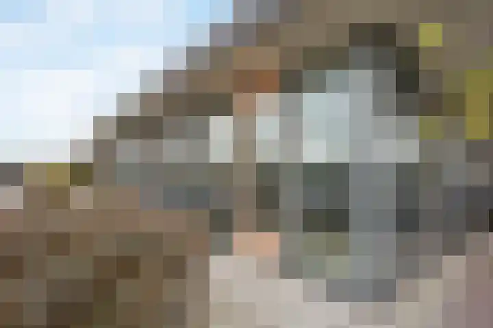 Mosgroen 309 Zoetermeer thumbnail 25