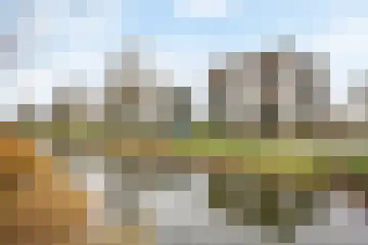 Mosgroen 309 Zoetermeer thumbnail 35