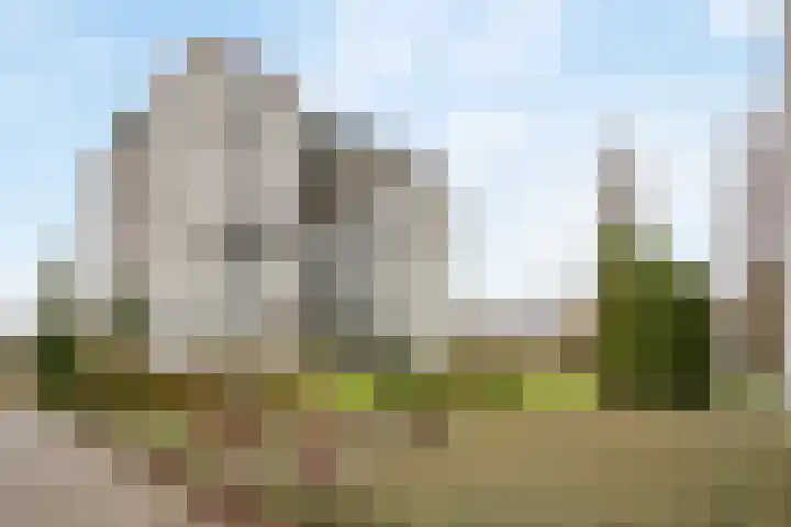 Mosgroen 309 Zoetermeer thumbnail 38