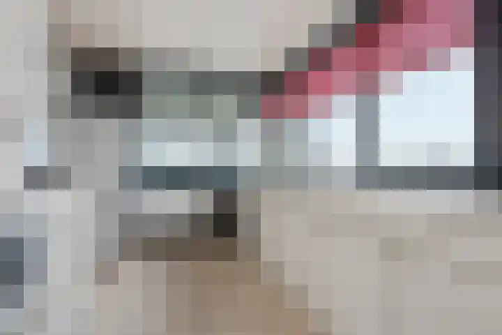 Mosgroen 309 Zoetermeer thumbnail 8