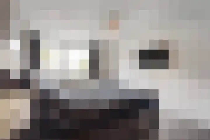 Mosgroen 331 Zoetermeer thumbnail 30