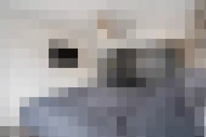 Mosgroen 331 Zoetermeer thumbnail 31