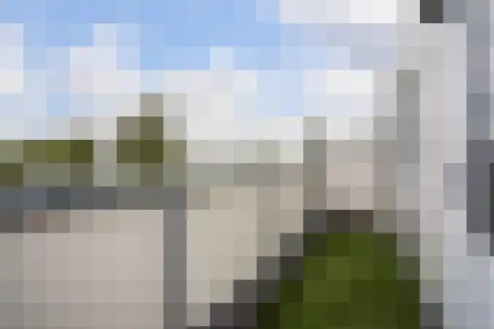 Mosgroen 331 Zoetermeer thumbnail 37