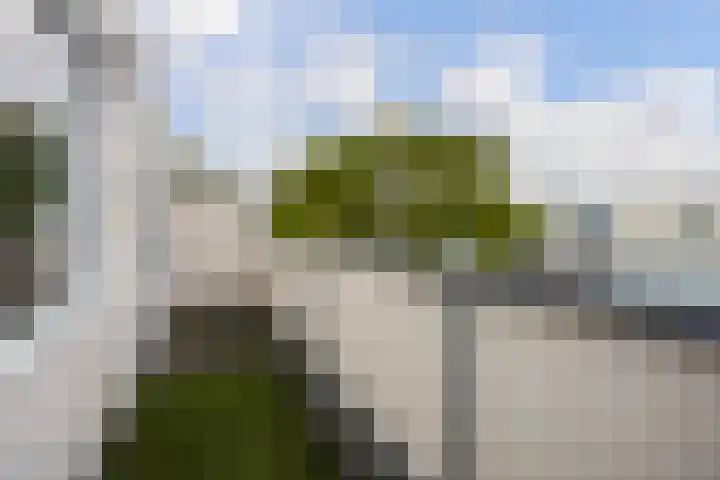 Mosgroen 331 Zoetermeer thumbnail 38