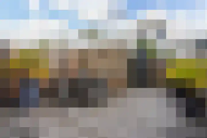 Mosgroen 331 Zoetermeer thumbnail 39