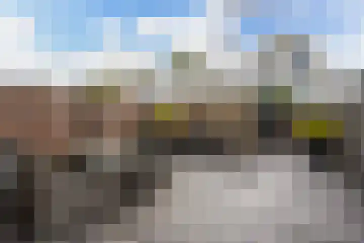 Mosgroen 331 Zoetermeer thumbnail 4