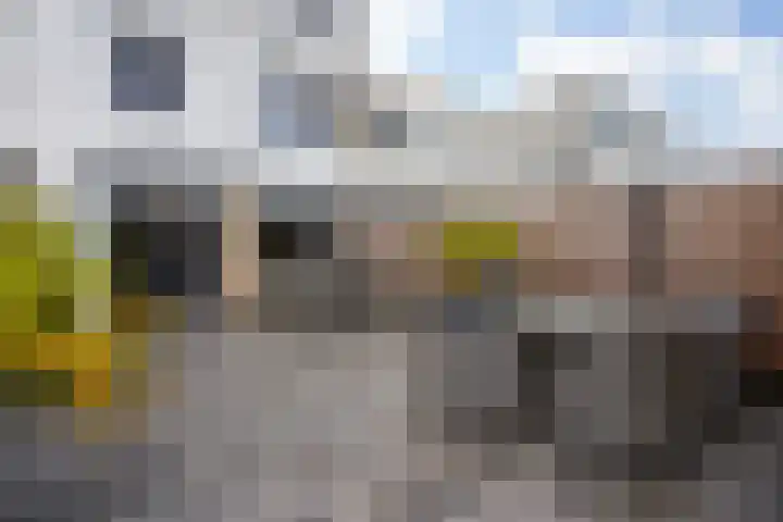 Mosgroen 331 Zoetermeer thumbnail 41