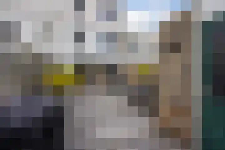Mosgroen 331 Zoetermeer thumbnail 42