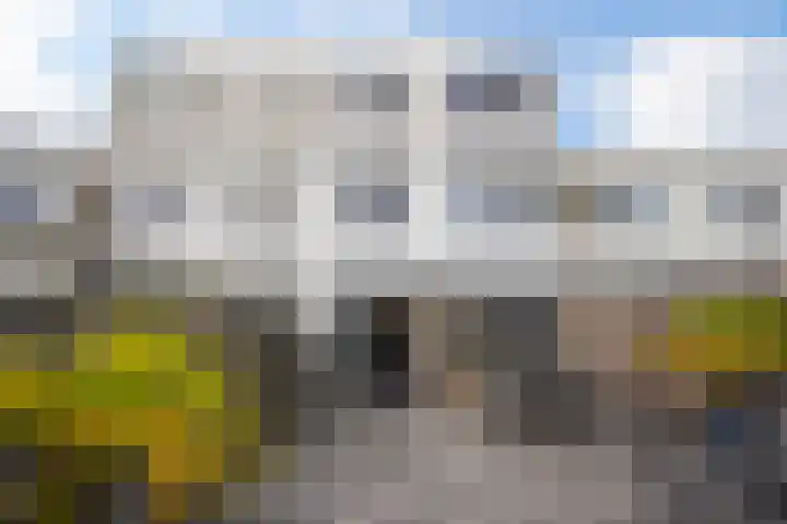 Mosgroen 331 Zoetermeer thumbnail 43