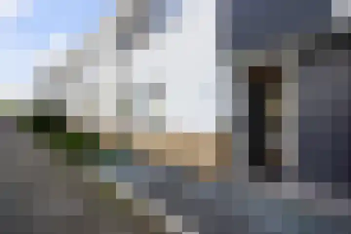 Mosgroen 331 Zoetermeer thumbnail 44