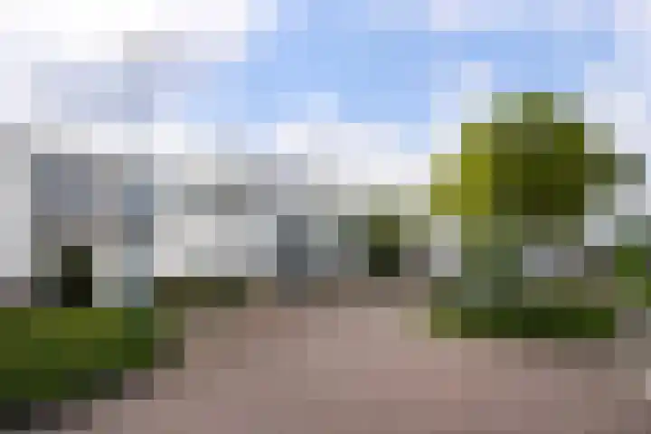Mosgroen 331 Zoetermeer thumbnail 45