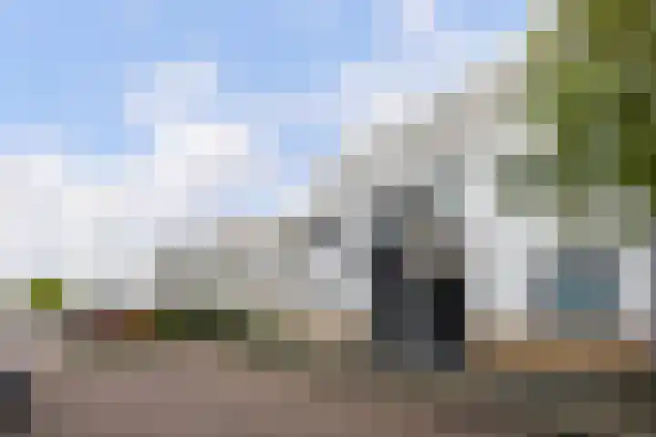 Mosgroen 331 Zoetermeer thumbnail 50