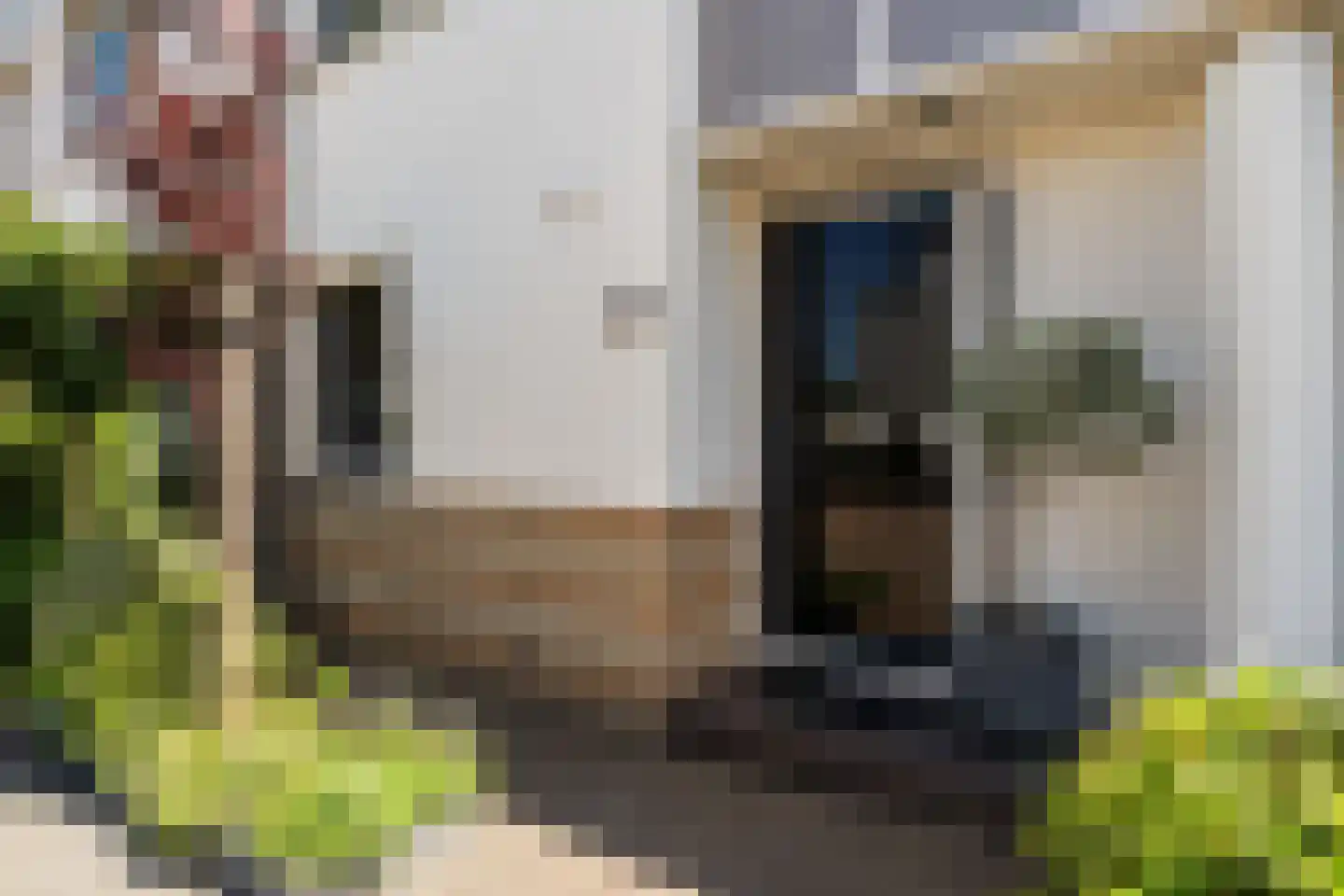 Mosgroen 339 Zoetermeer thumbnail 11