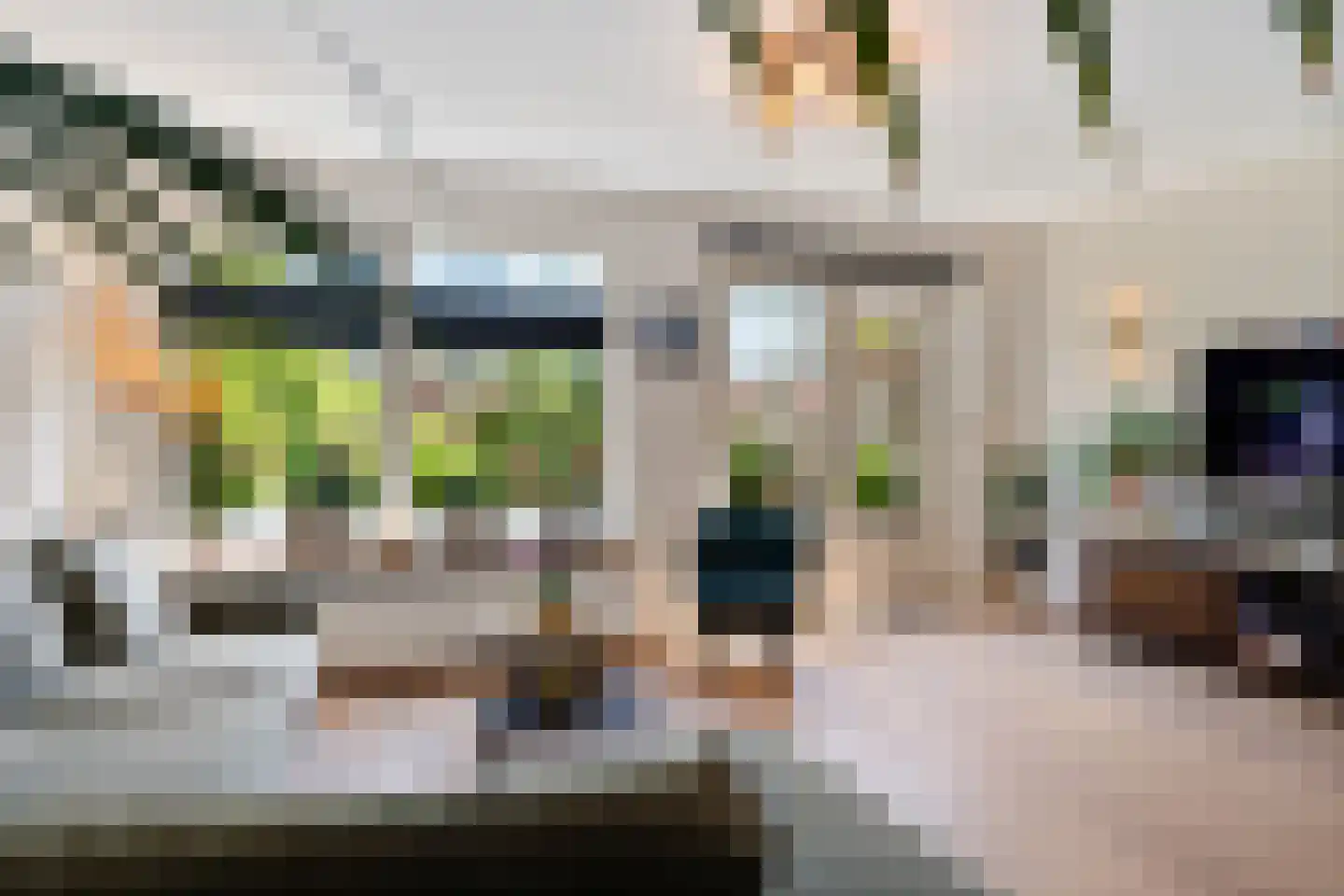 Mosgroen 339 Zoetermeer thumbnail 17