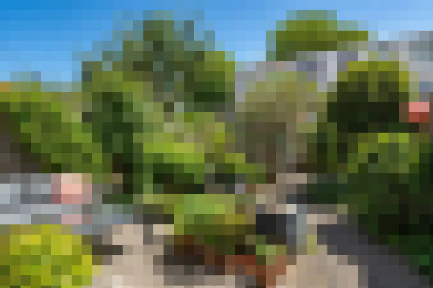 Mosgroen 339 Zoetermeer thumbnail 25