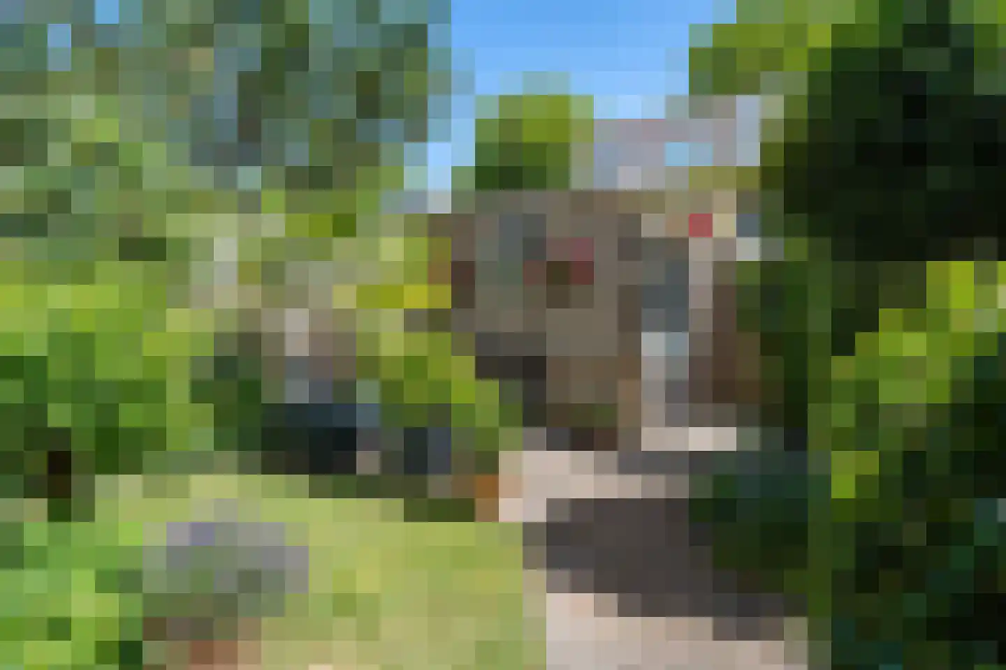 Mosgroen 339 Zoetermeer thumbnail 27