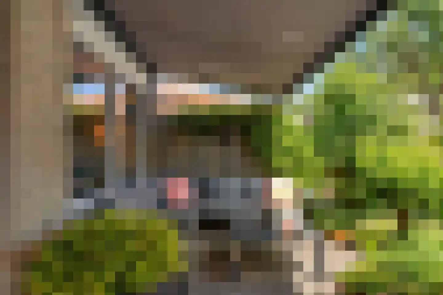 Mosgroen 339 Zoetermeer thumbnail 30