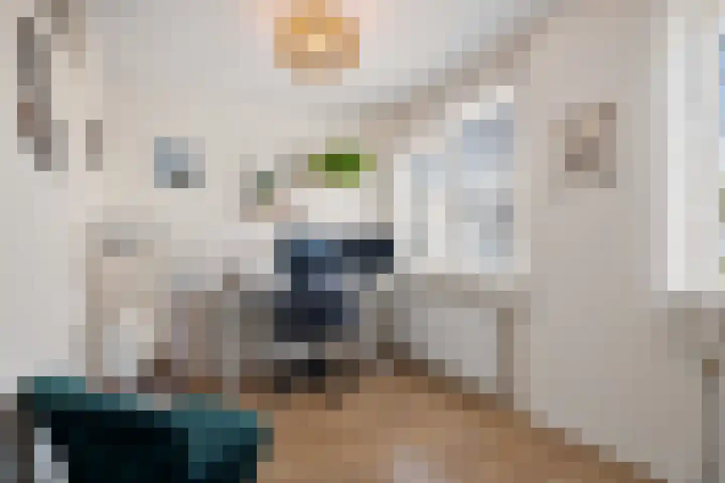 Mosgroen 339 Zoetermeer thumbnail 42