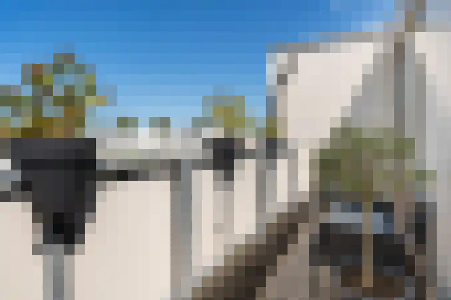 Mosgroen 339 Zoetermeer thumbnail 54