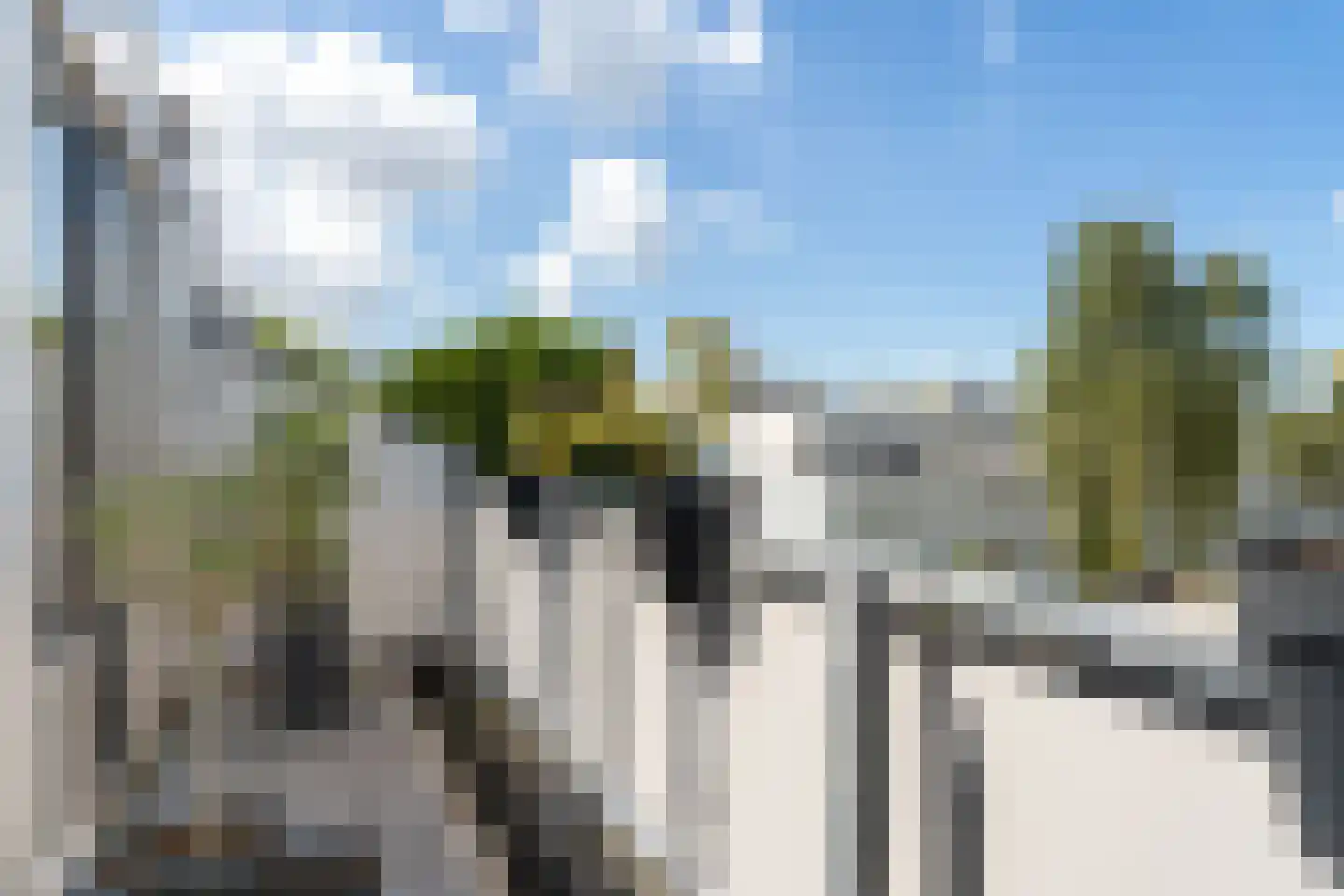 Mosgroen 339 Zoetermeer thumbnail 55