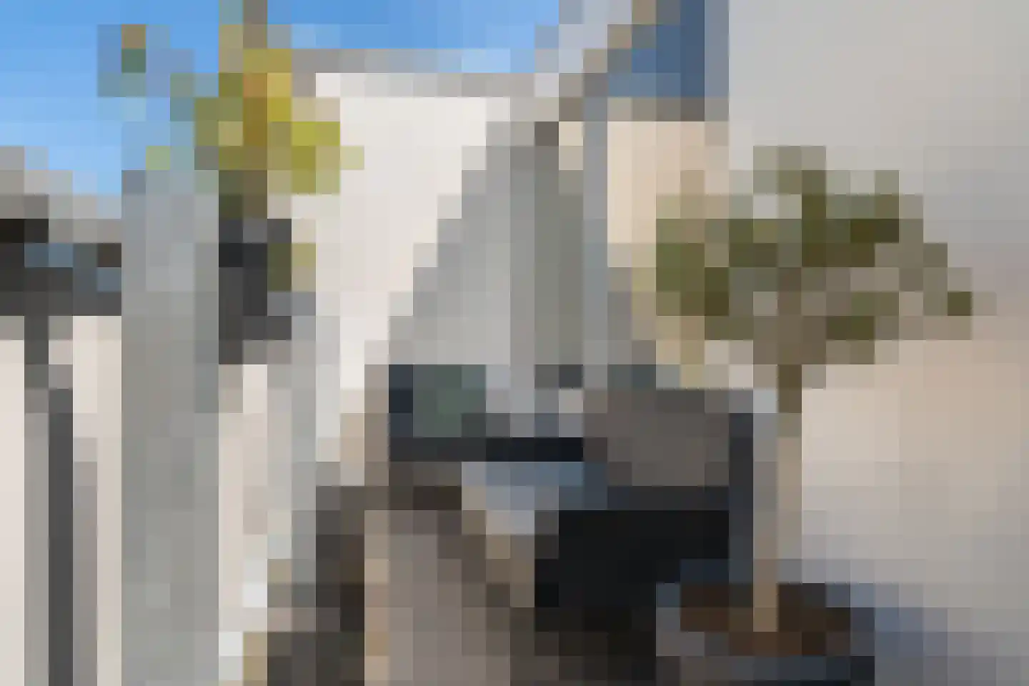 Mosgroen 339 Zoetermeer thumbnail 56