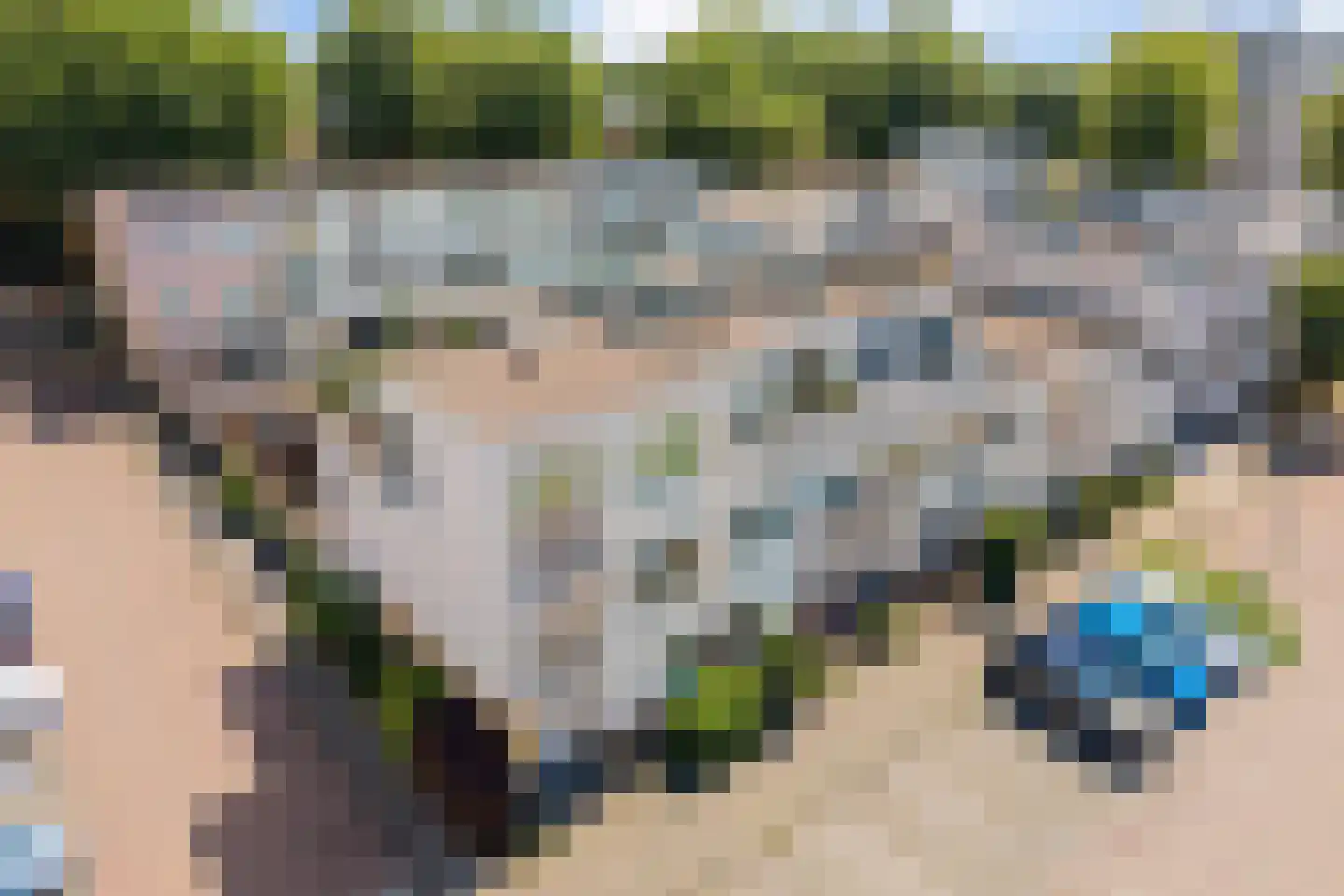Mosgroen 339 Zoetermeer thumbnail 8