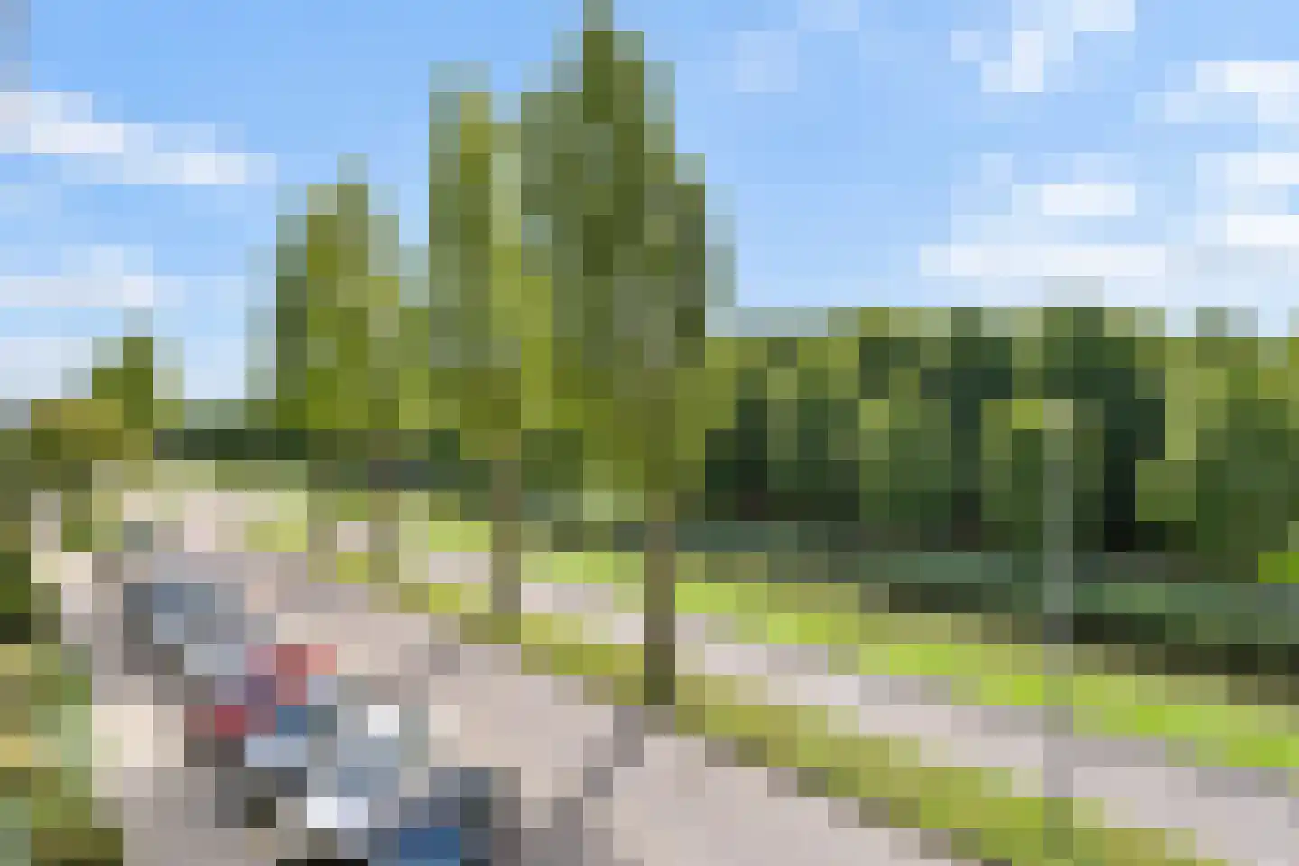 Mosgroen 93 Zoetermeer thumbnail 17