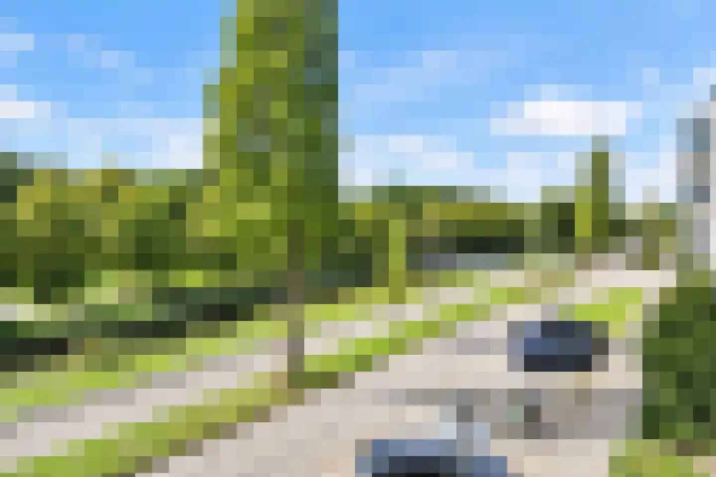Mosgroen 93 Zoetermeer thumbnail 18