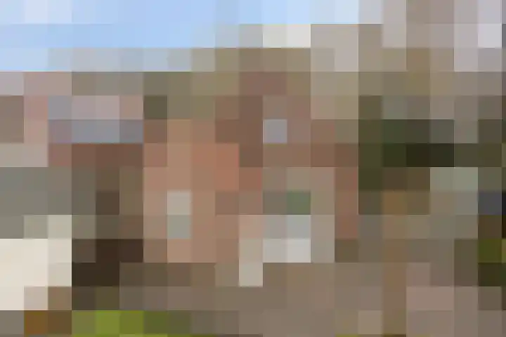 Moskampweg 18 Oosterwolde thumbnail 27