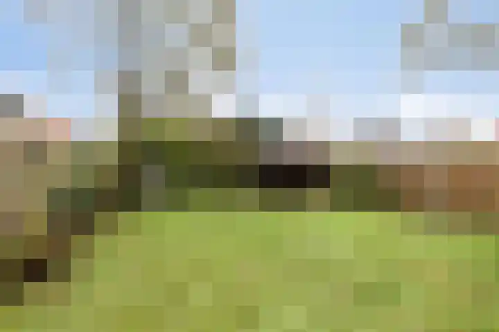 Moskampweg 18 Oosterwolde thumbnail 31