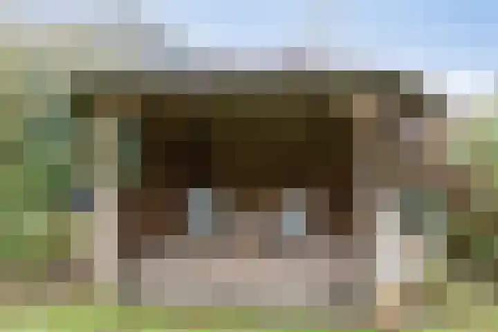 Moskampweg 18 Oosterwolde thumbnail 32