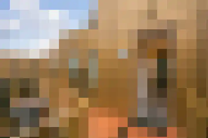Moskeeplein 74 Utrecht thumbnail 13