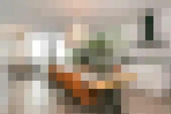 Moskeeplein 74 Utrecht thumbnail 19