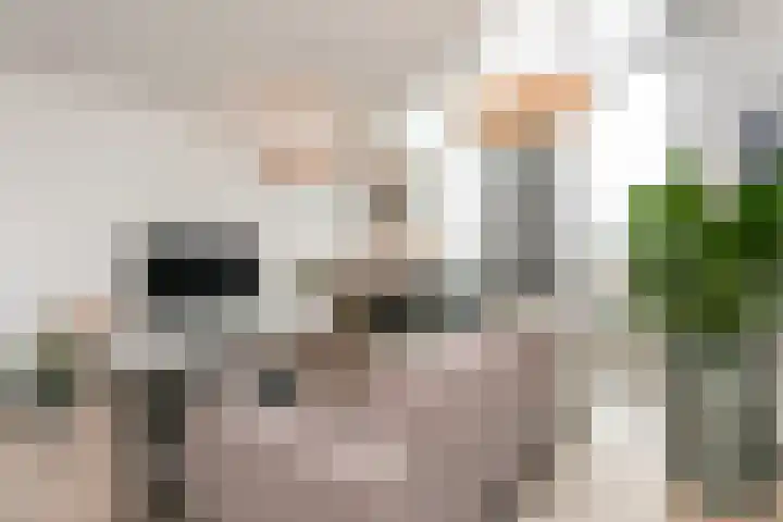 Moskeeplein 74 Utrecht thumbnail 21