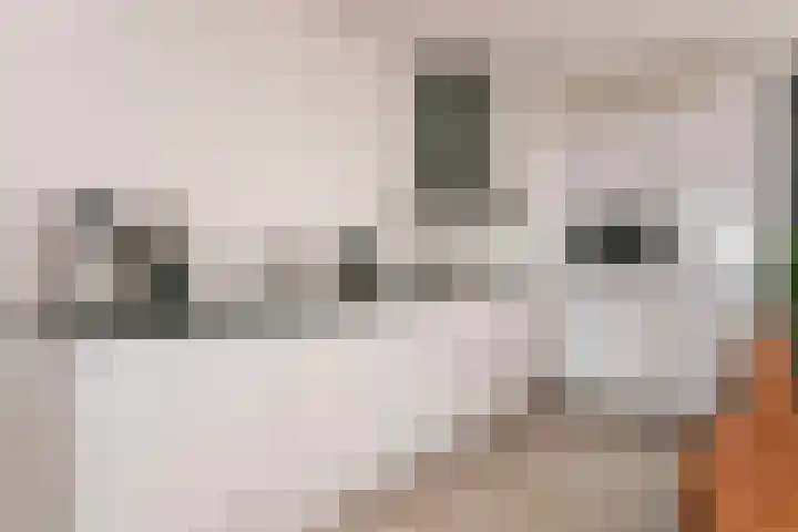 Moskeeplein 74 Utrecht thumbnail 23